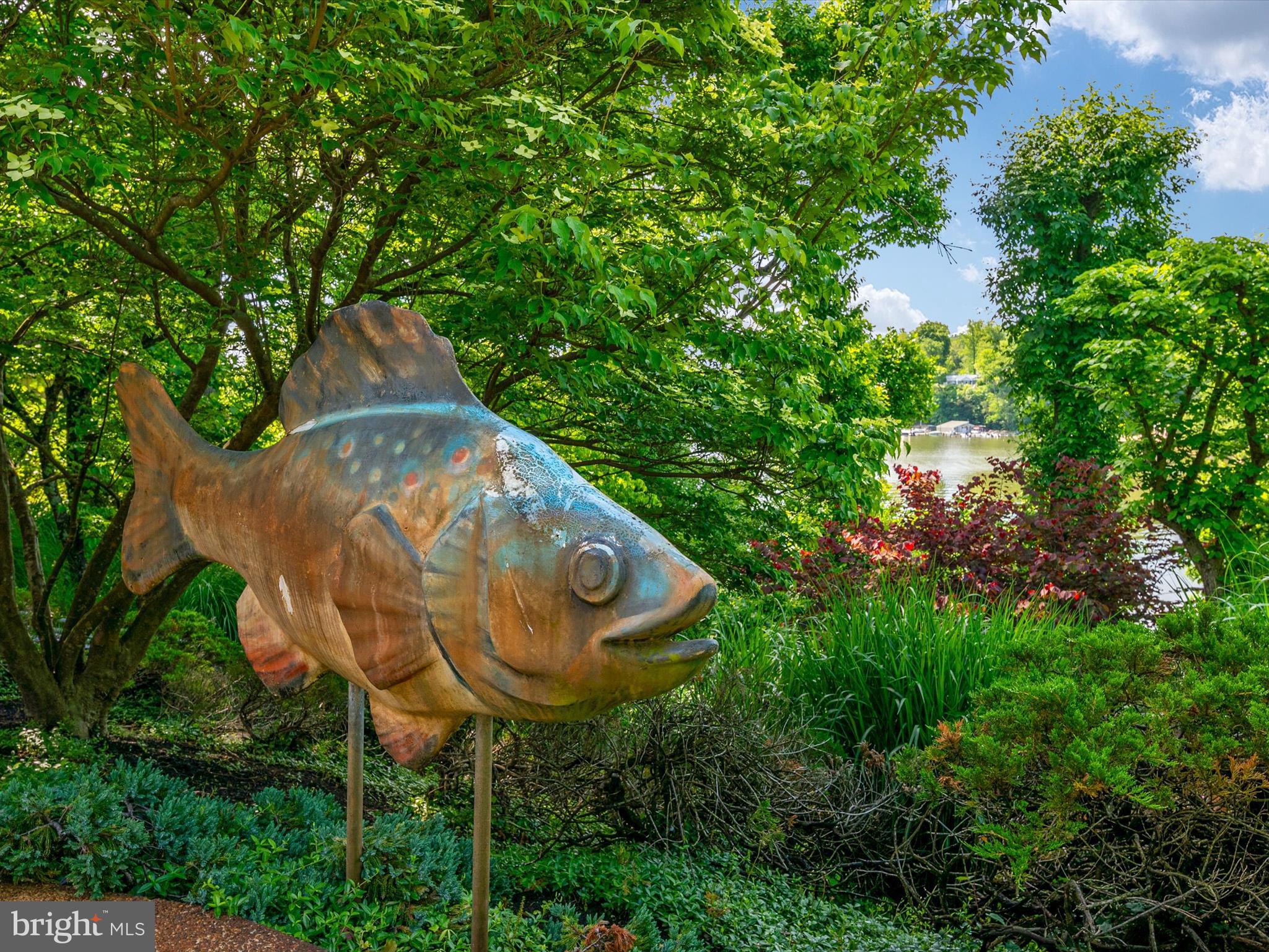 THE DOWNS - Residential