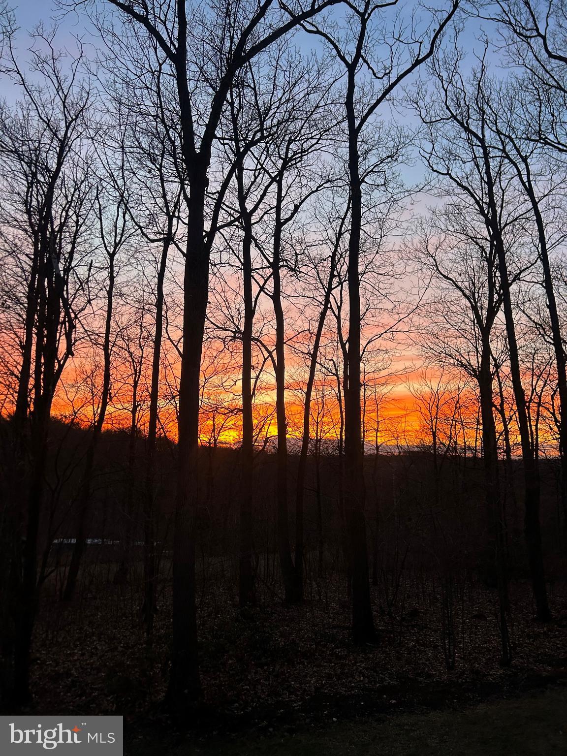 HILLDALE ESTATES - Residential