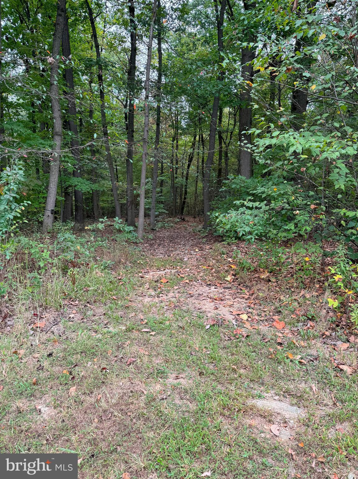 HILLDALE ESTATES - Residential