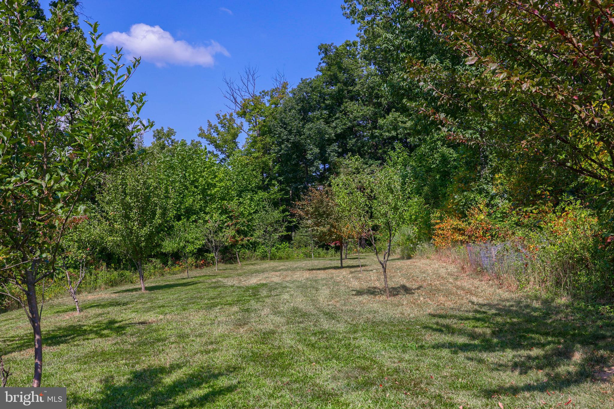 HILLDALE ESTATES - Residential