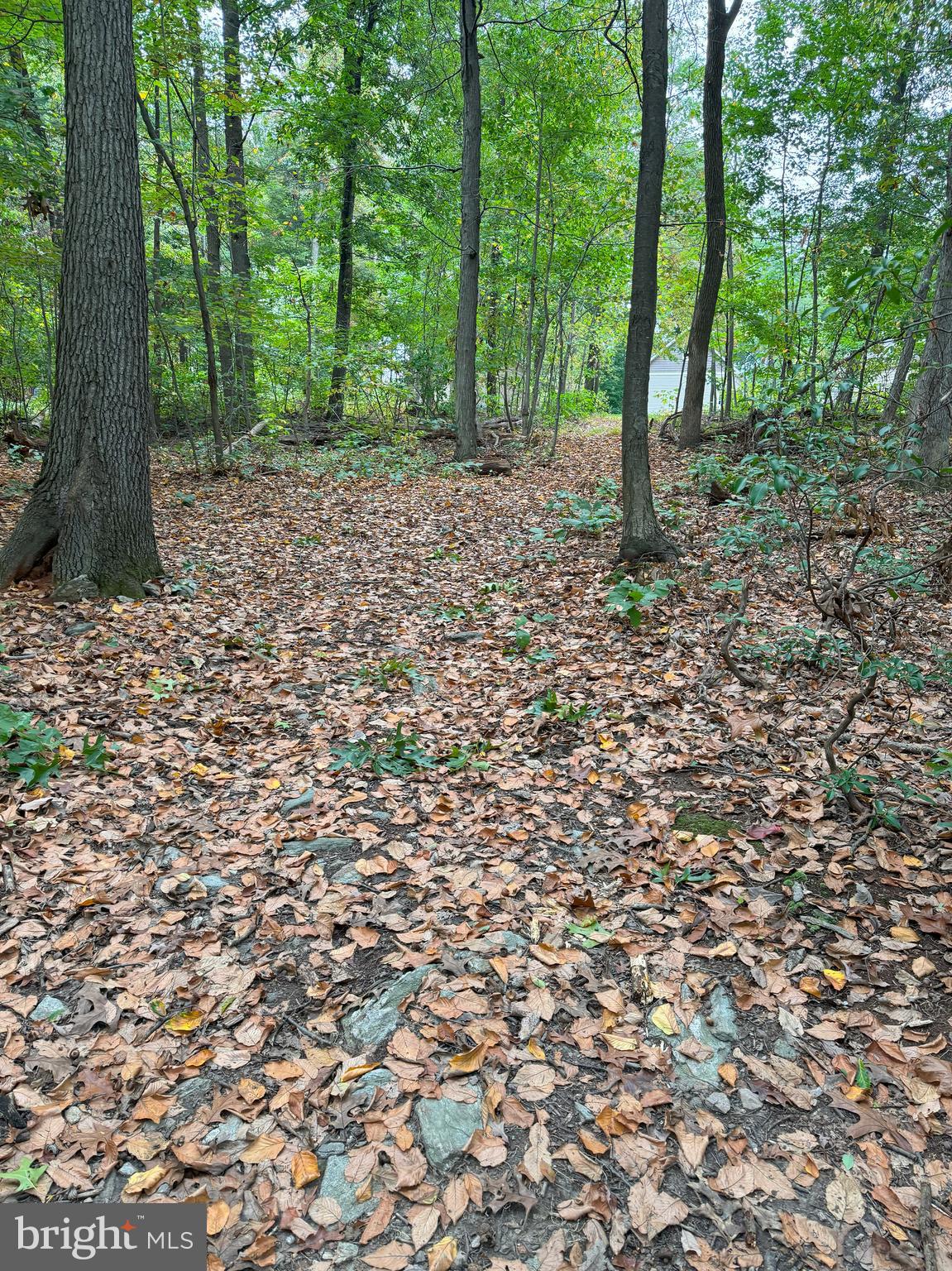 HILLDALE ESTATES - Residential