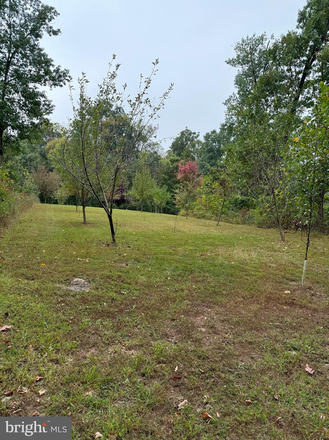 HILLDALE ESTATES - Residential