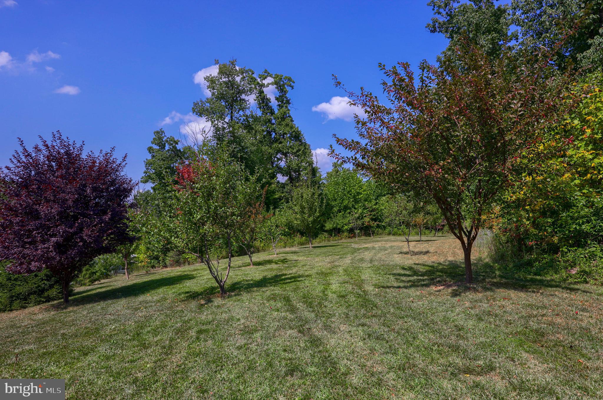 HILLDALE ESTATES - Residential