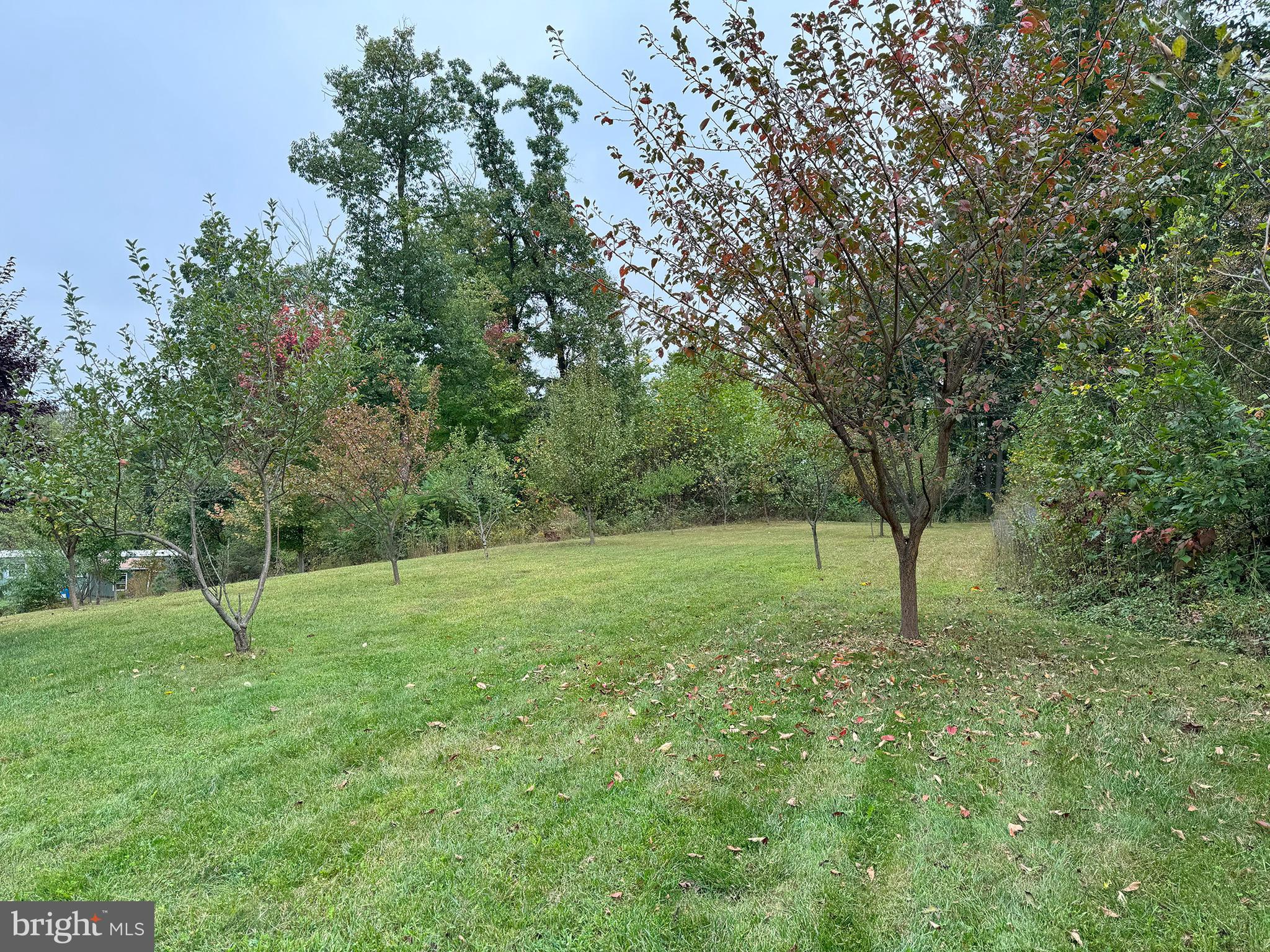 HILLDALE ESTATES - Residential