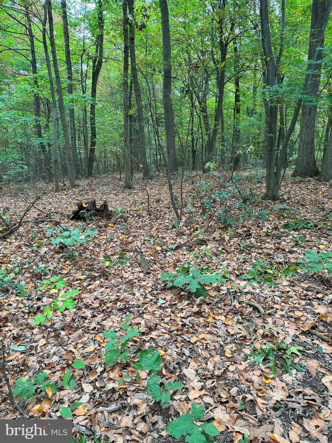 HILLDALE ESTATES - Residential