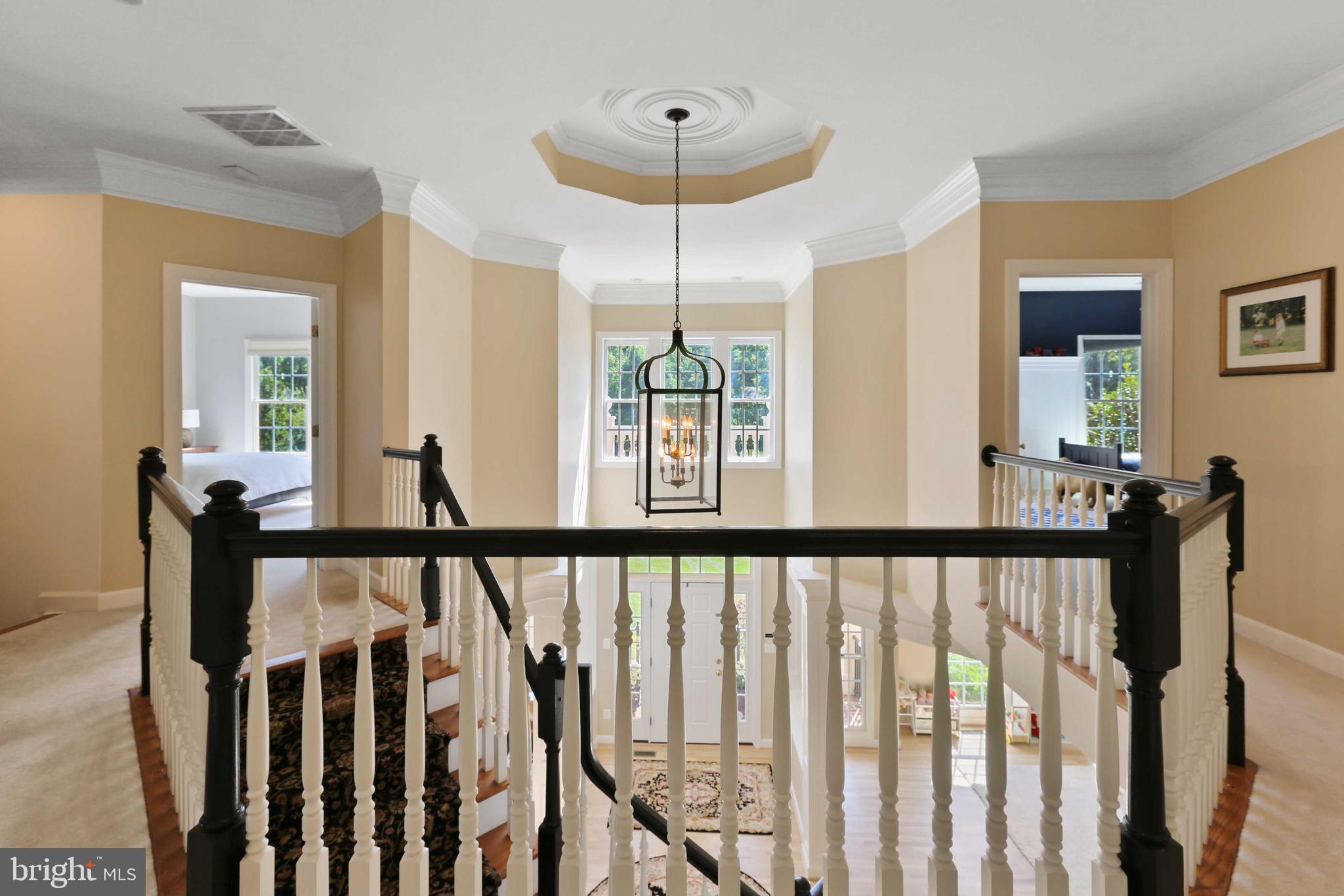 CHESTNUT WOODS - Residential