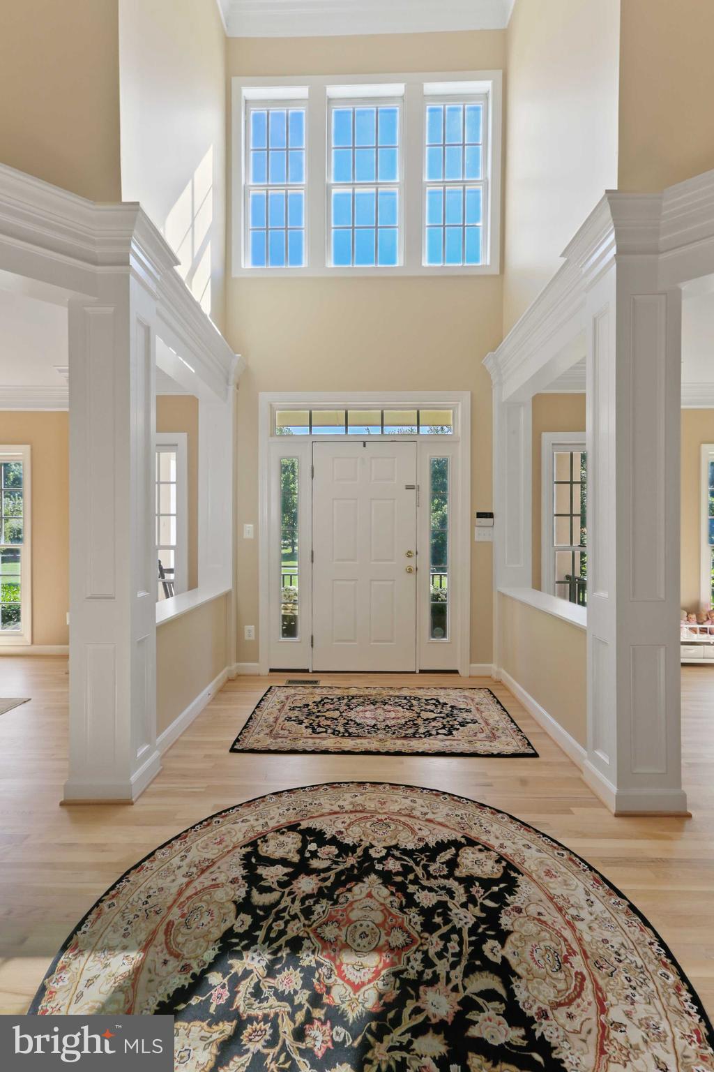 CHESTNUT WOODS - Residential