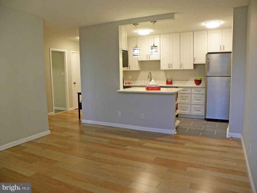 Meticulous renovation top to bottom just completed. Everything brand new, never used! Granite in kit, stainless appl., bkfst bar, all new BA, new wood flrs., new light fixtures, huge walk-in closet, plantation shutters. Bathed in sunlight. Fitness cntr, 24-hr front desk, conven. store, pool, bike path. Near Metro, buses & eateries. Minutes to Nat'l airport & DC. Incl. ample parking & ALL utils.