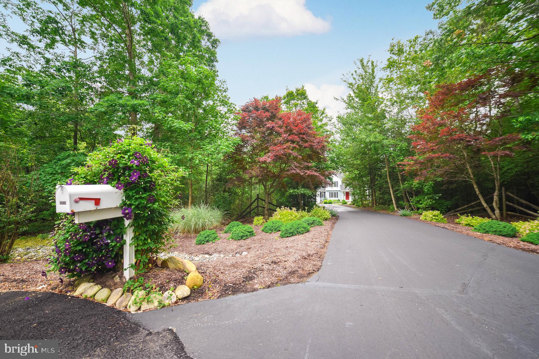 CHESTNUT RIDGE - Residential