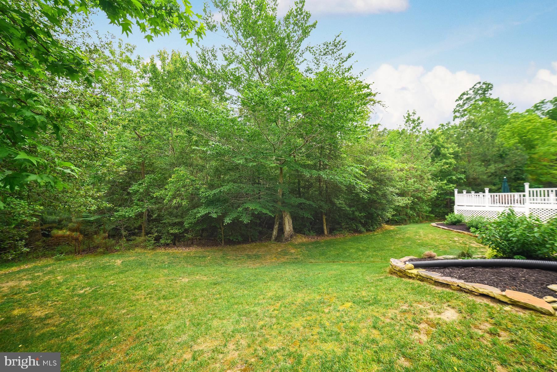 CHESTNUT RIDGE - Residential