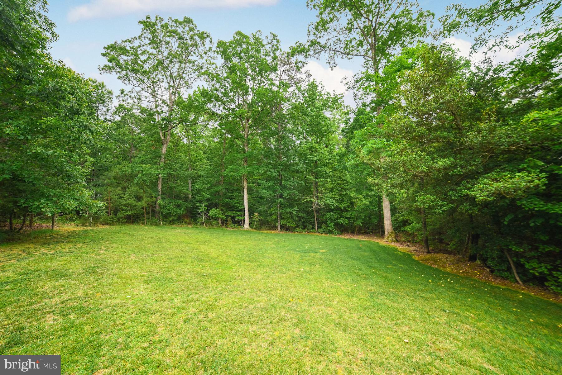 CHESTNUT RIDGE - Residential