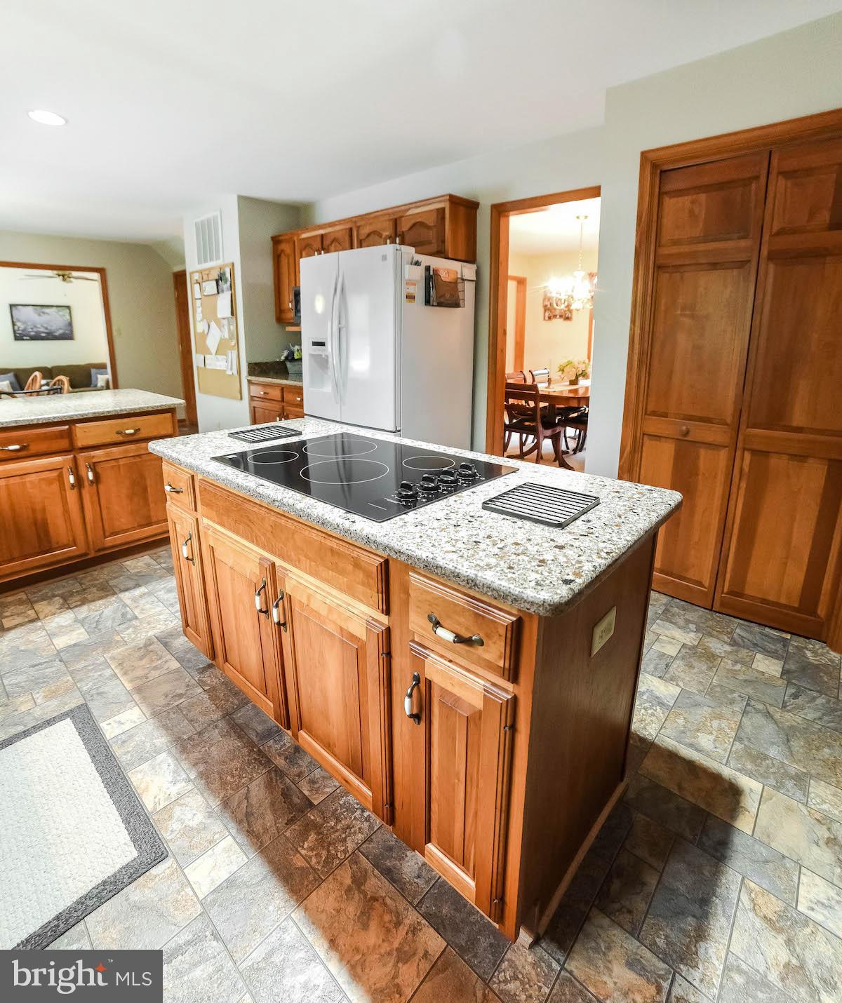 CHESTNUT RIDGE - Residential