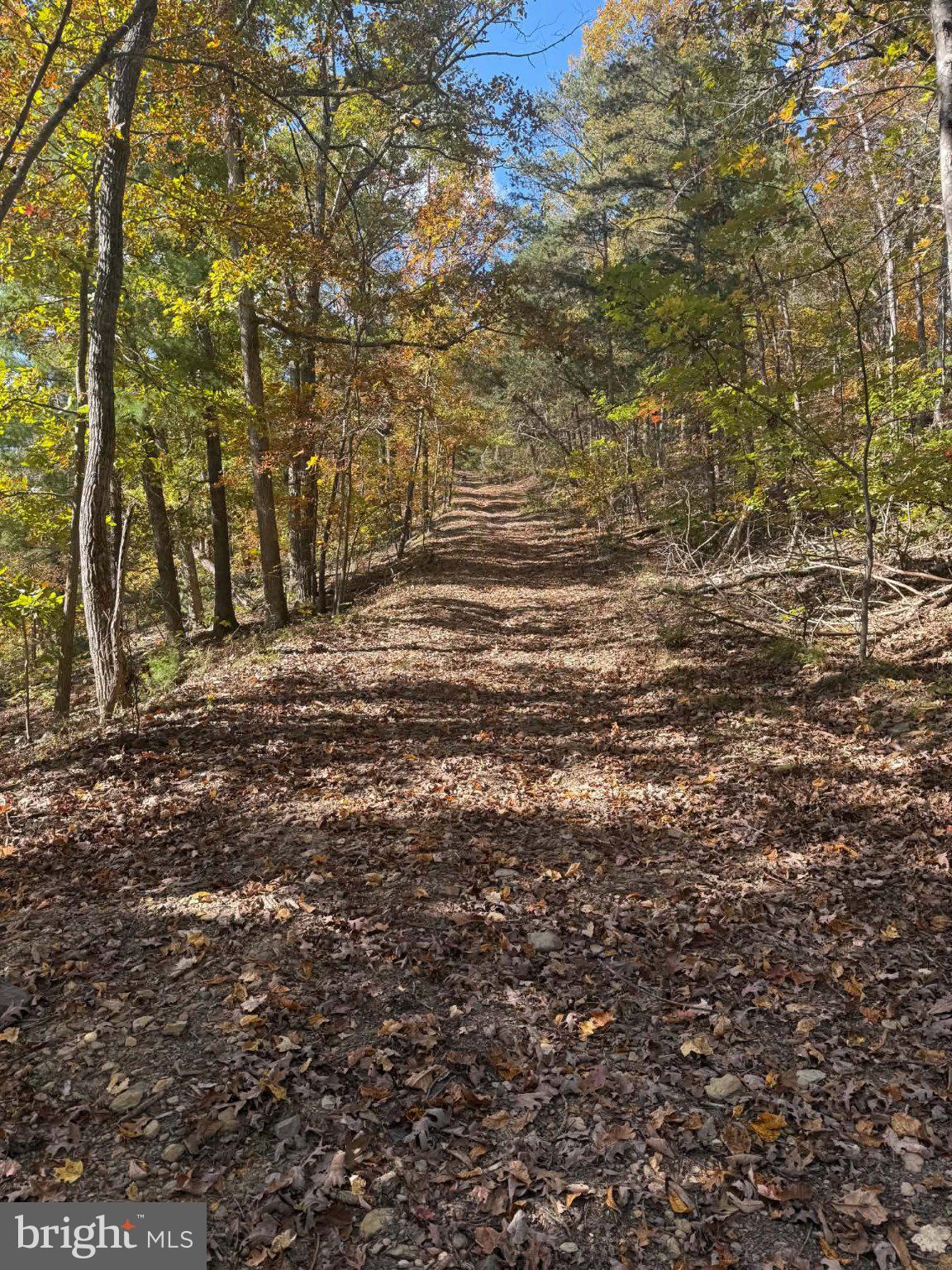 Lot 4 GRINDSTONE MOUNTAIN VIEW ROAD