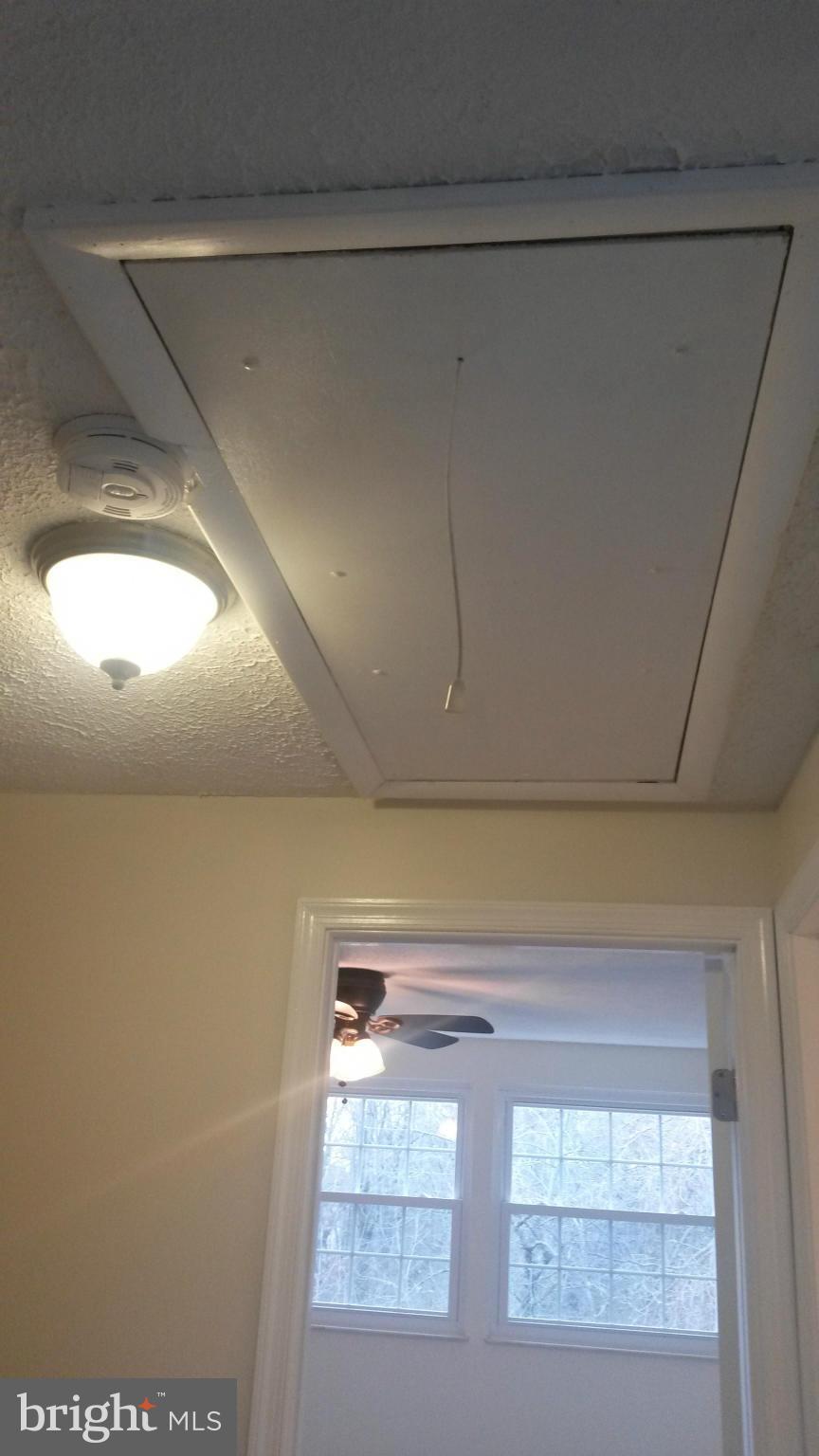 PINEDALE WOODS - Residential