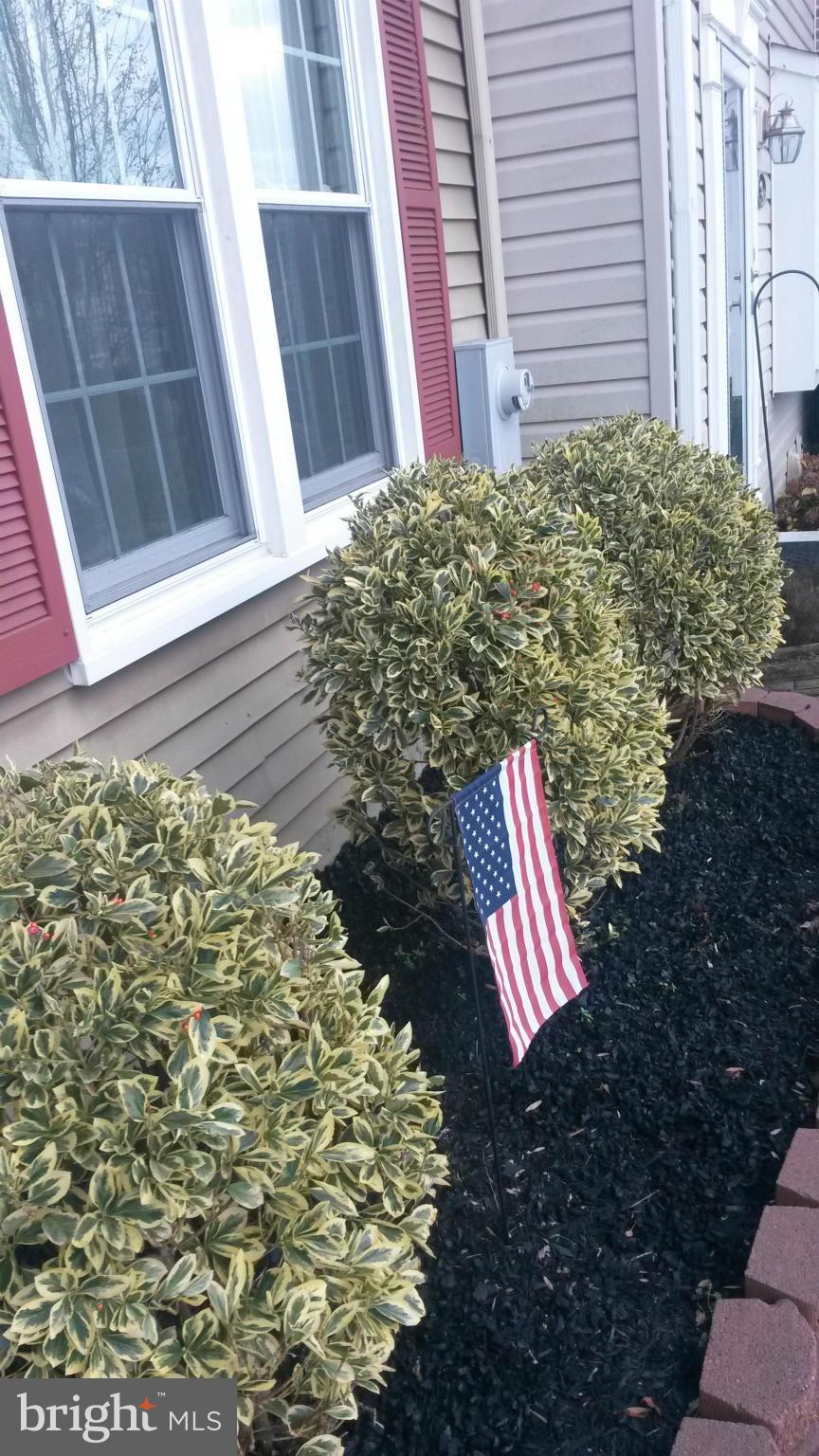 PINEDALE WOODS - Residential