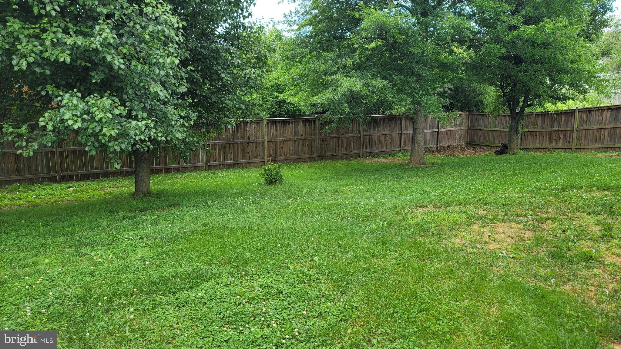 SYCAMORE VILLAGE - Residential