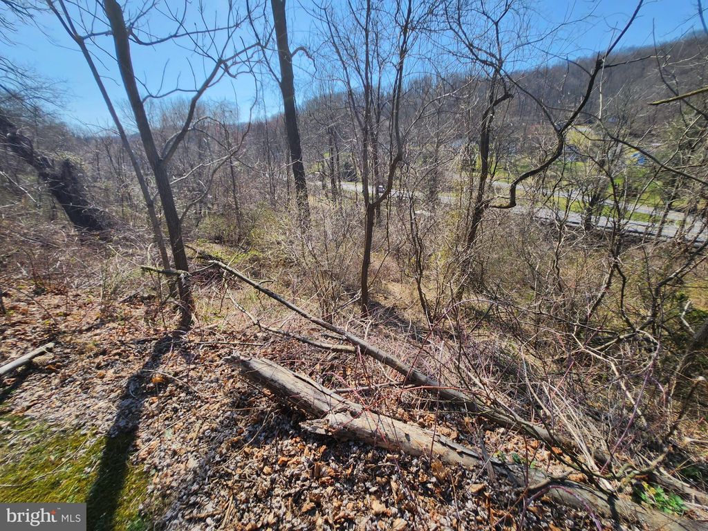 Photo of 0 Rte 73, BOYERTOWN, PA 19512 (MLS # PABK2041020)