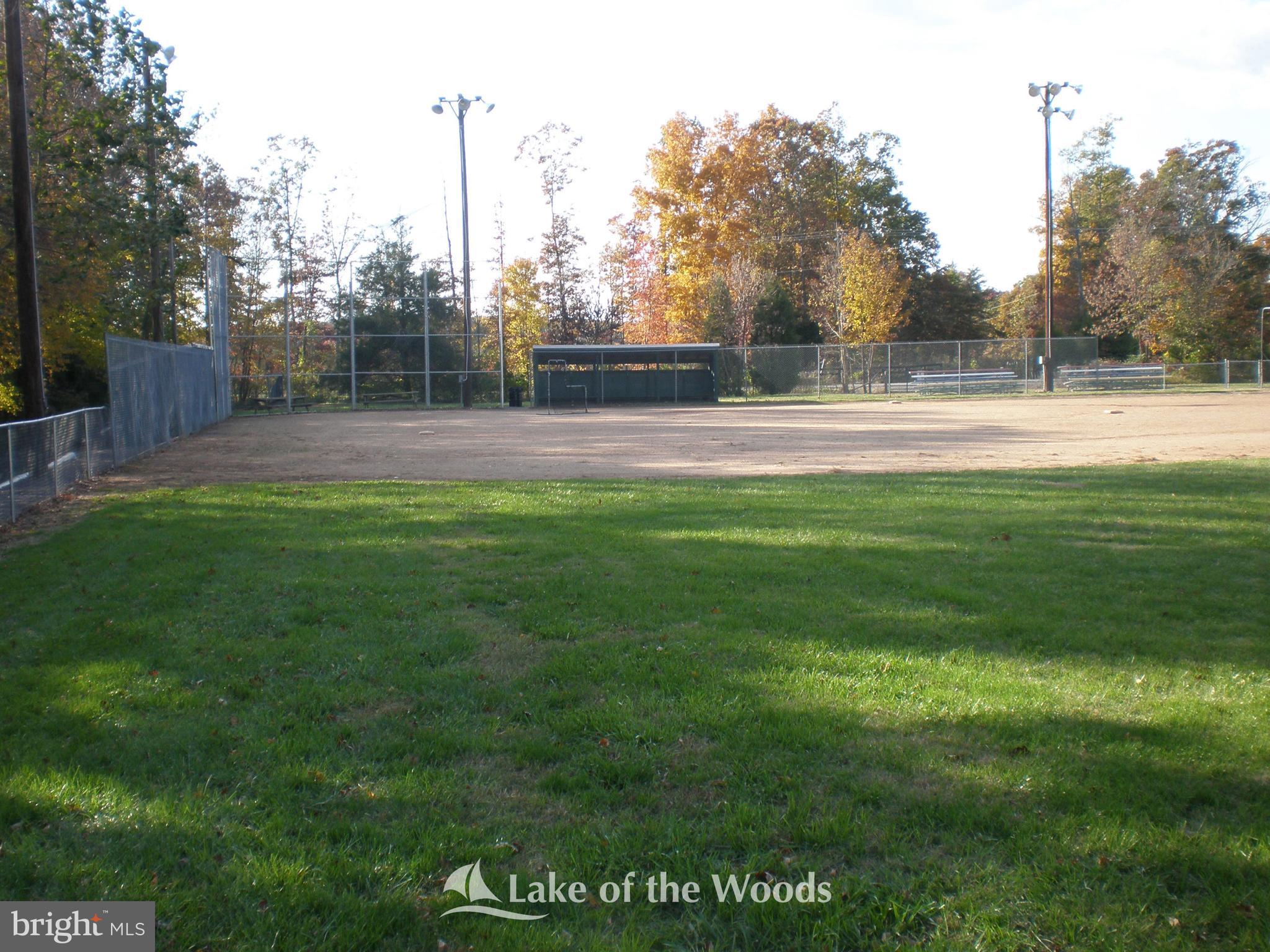 LAKE OF THE WOODS - Residential