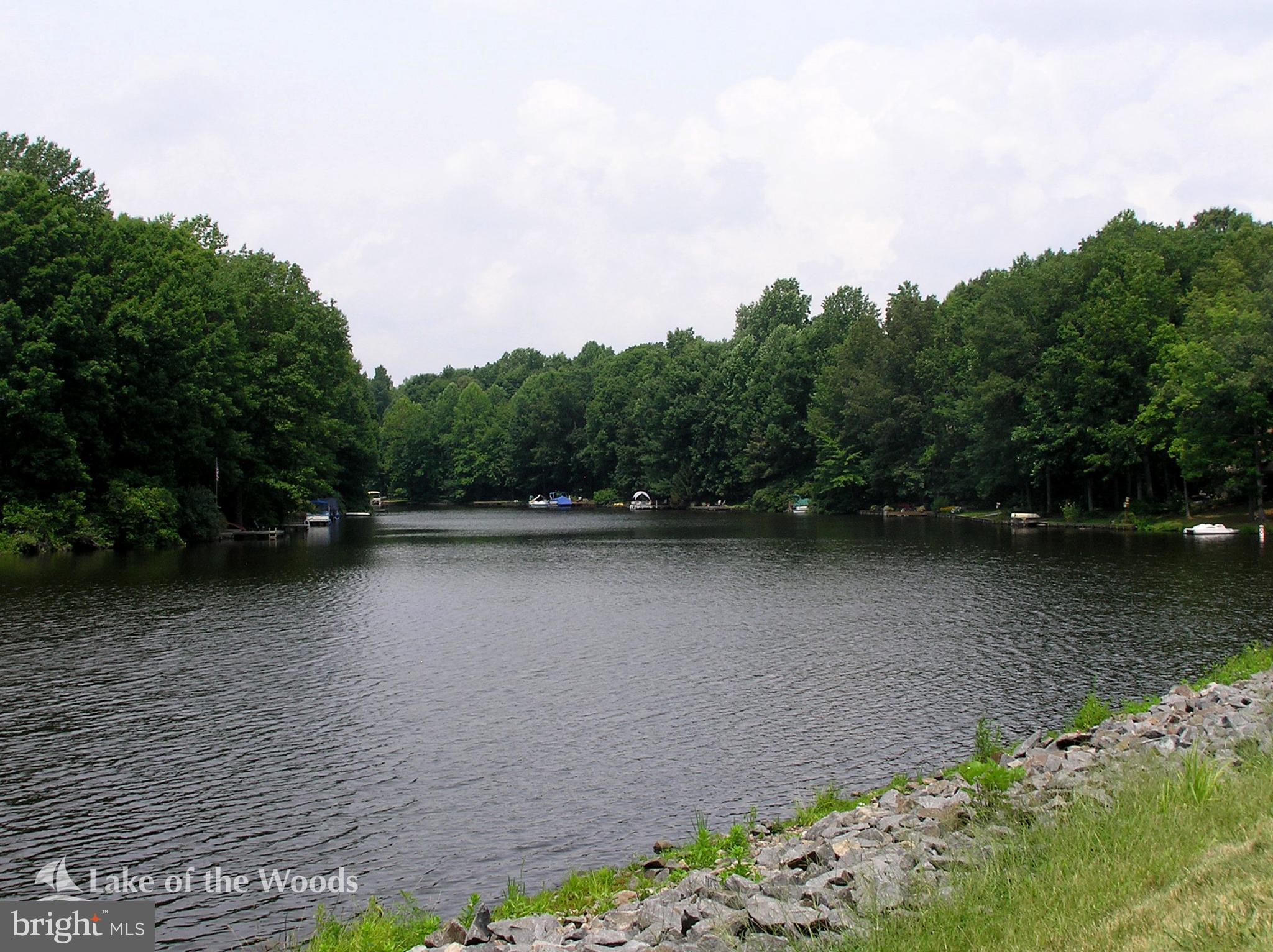 LAKE OF THE WOODS - Residential