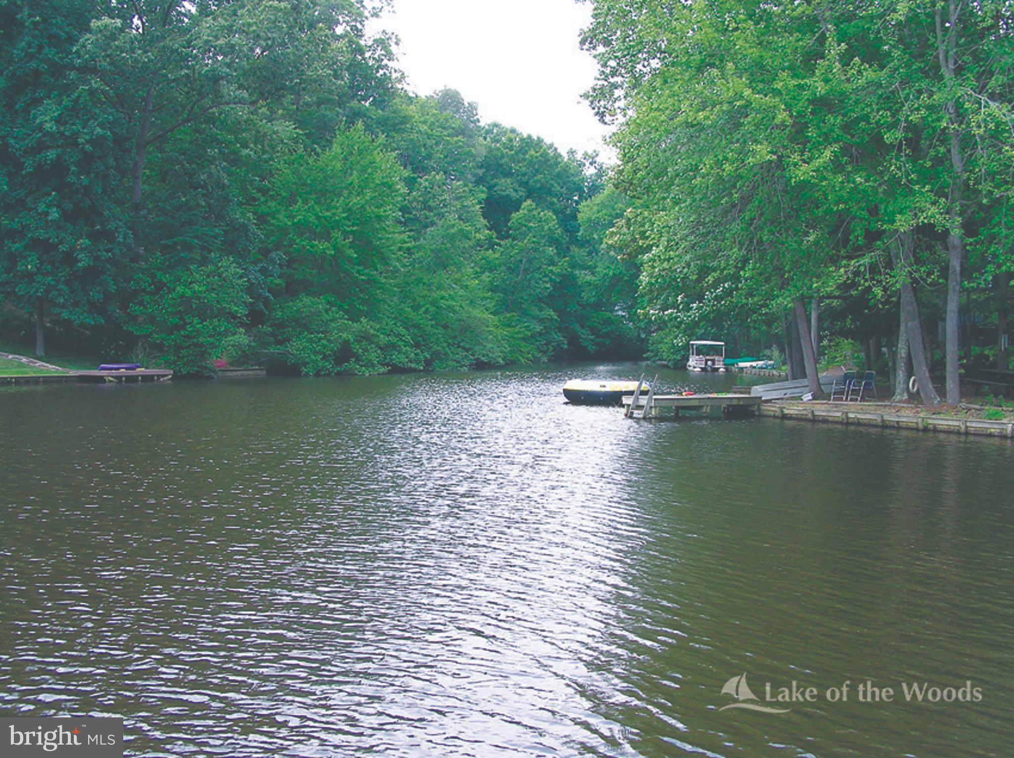 LAKE OF THE WOODS - Residential
