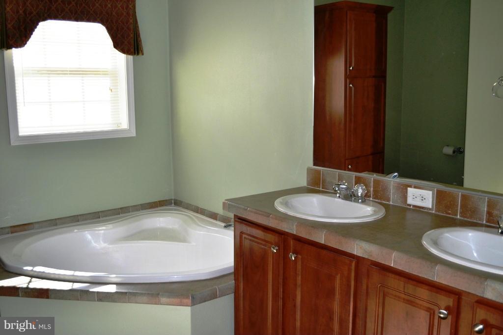 MEADOWS OF CHANTILLY - Residential