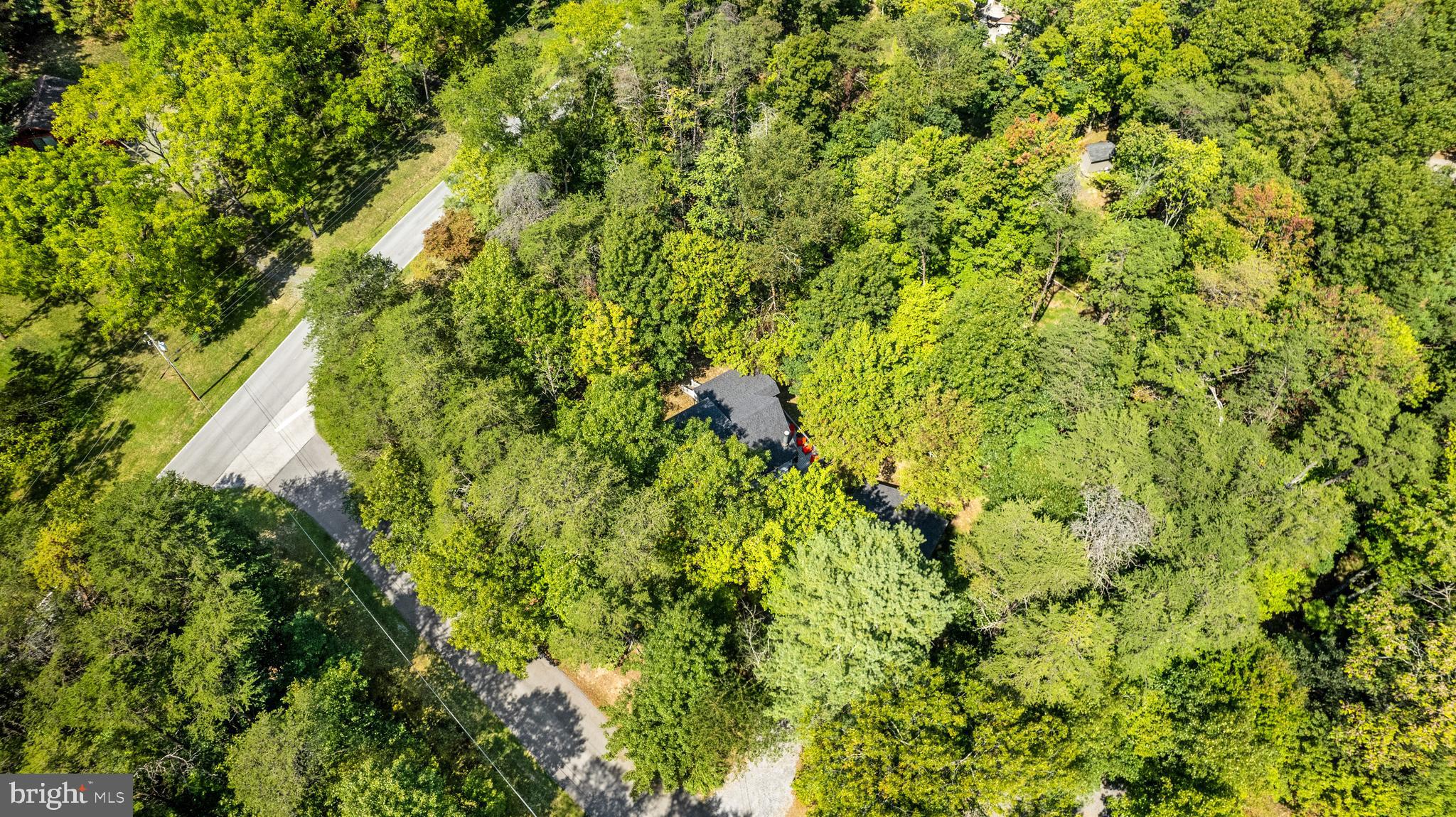 THE WOODS - Residential