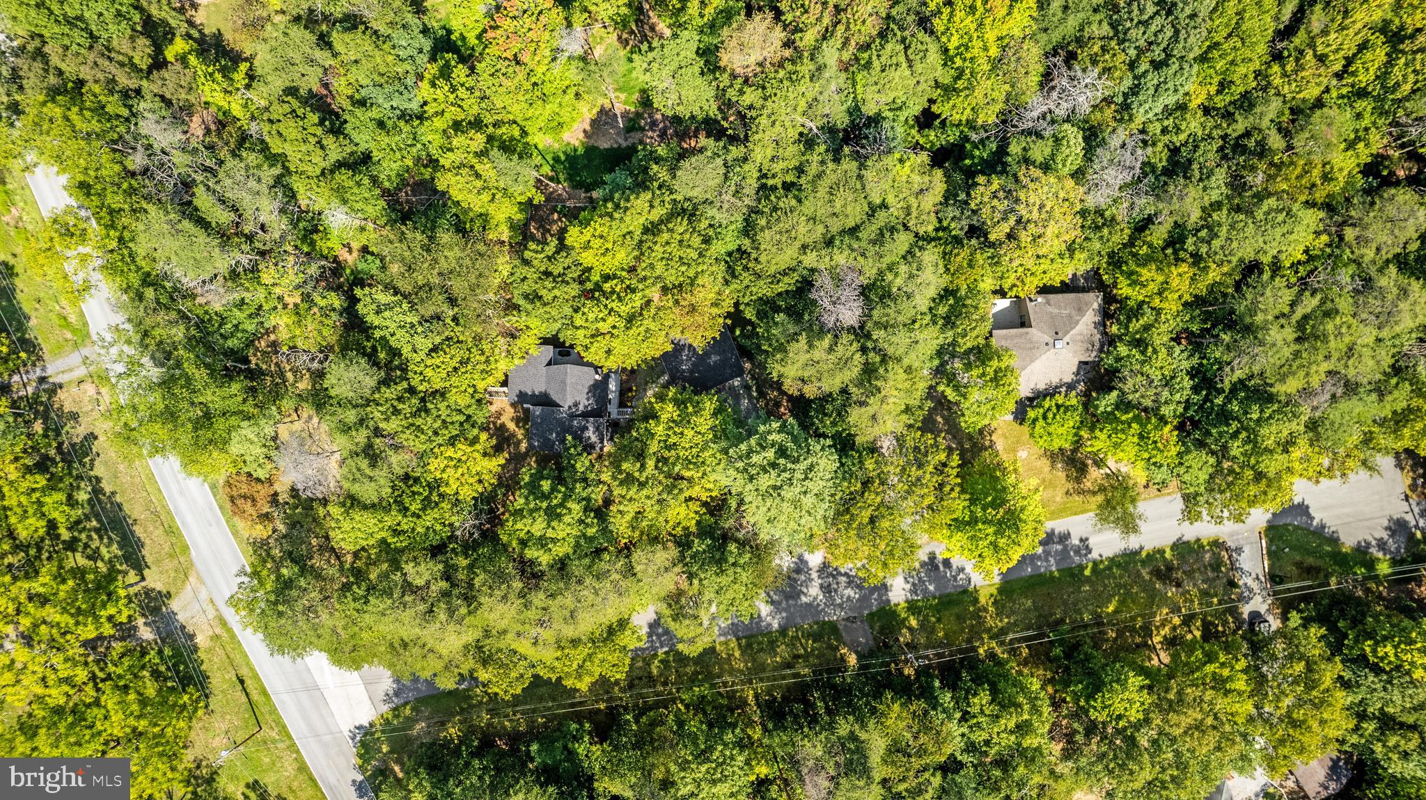 THE WOODS - Residential