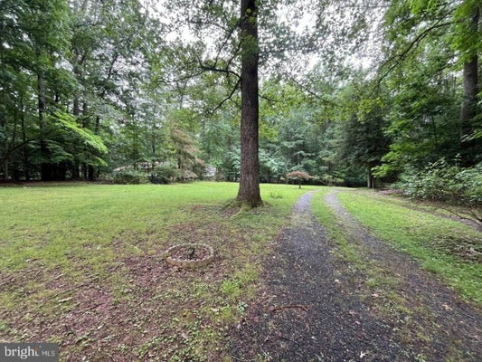 9809 PEPPERTREE RD, SPOTSYLVANIA, VA 22553 - Image e68e1ff016280ecc734df7c7beeda6c0/1377177669