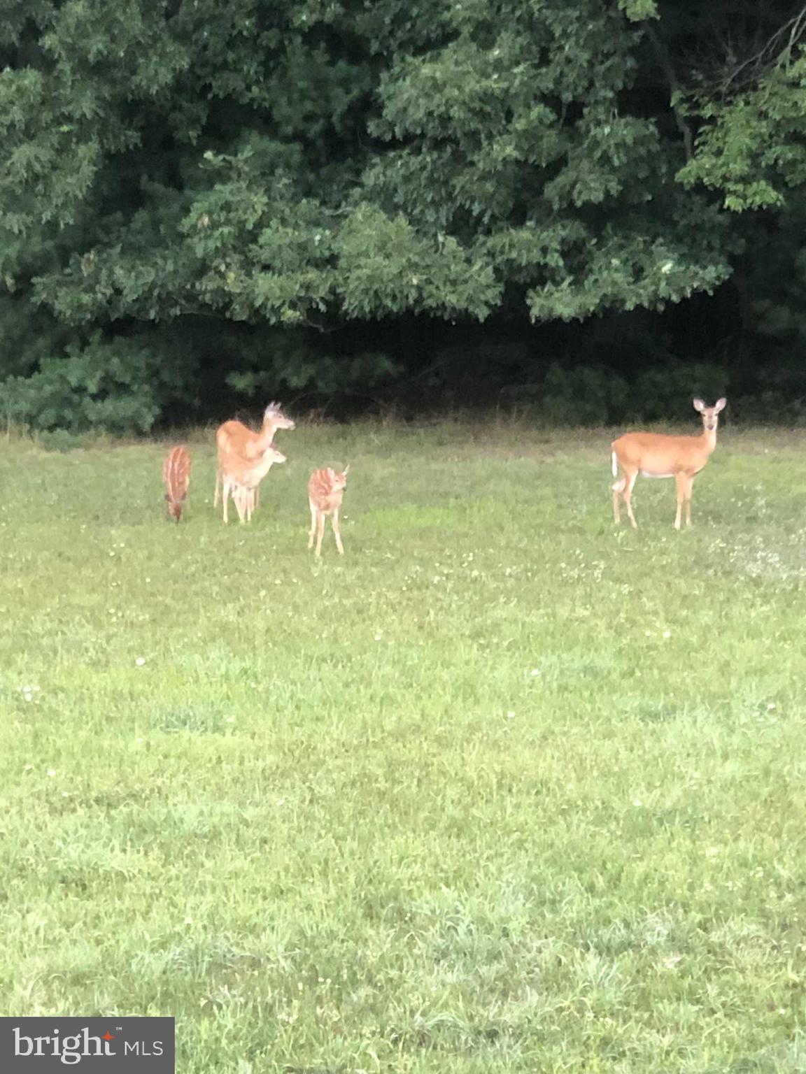 NONE, RURAL - Residential