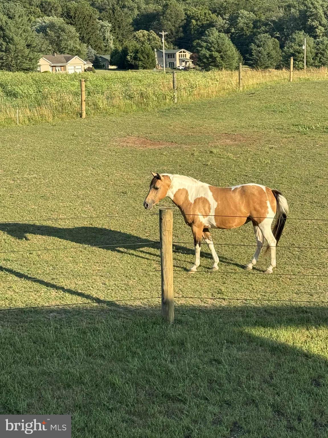 NONE, RURAL - Residential