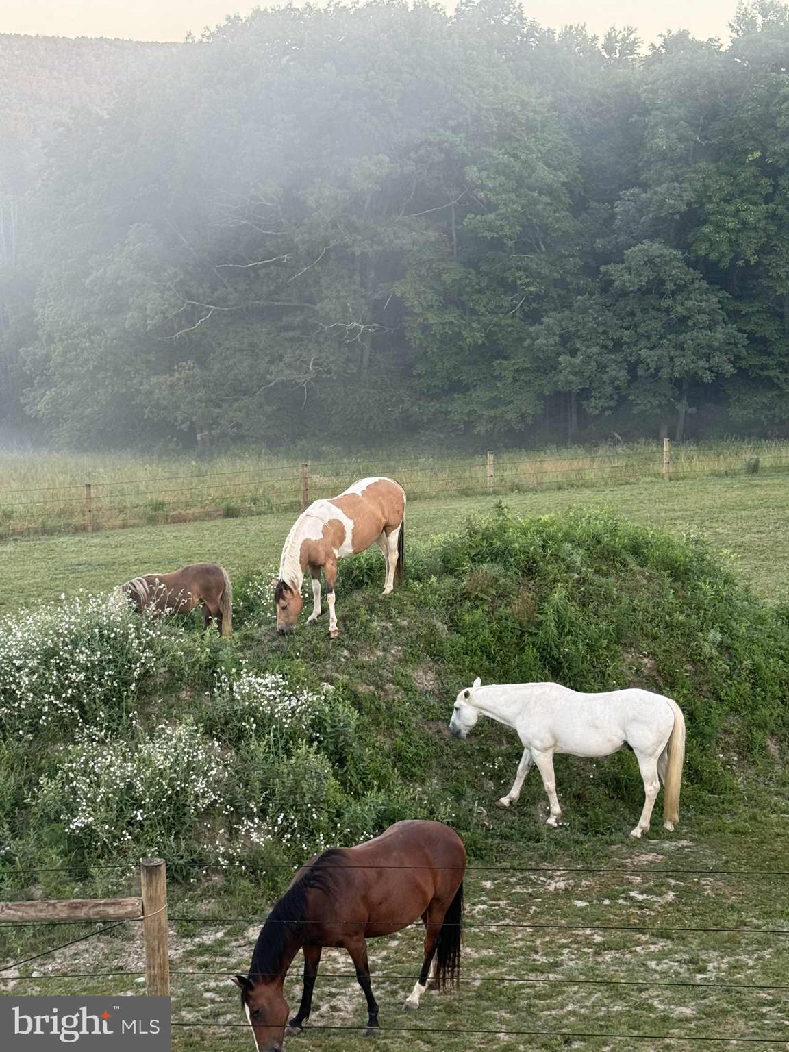 NONE, RURAL - Residential