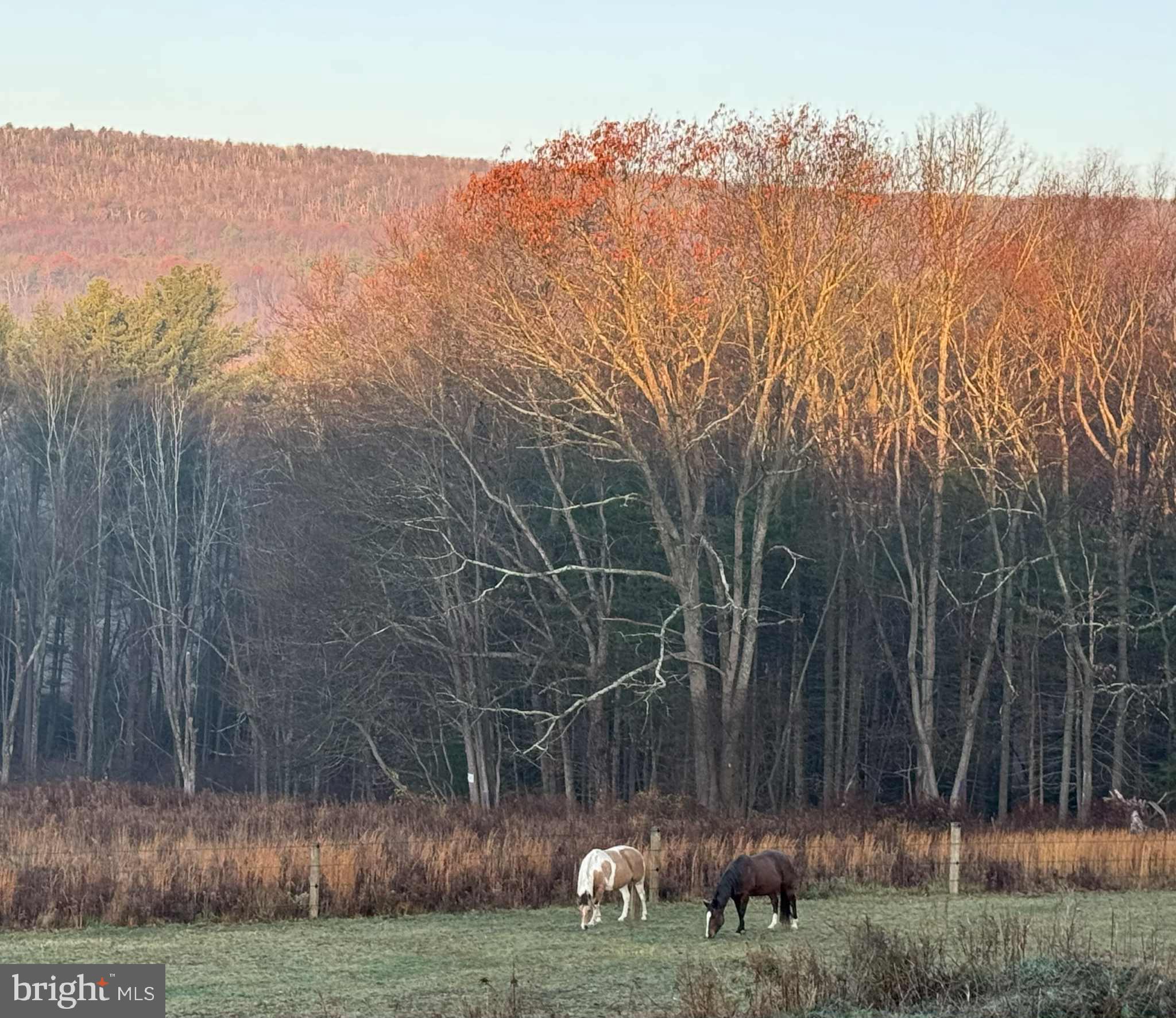 NONE, RURAL - Residential