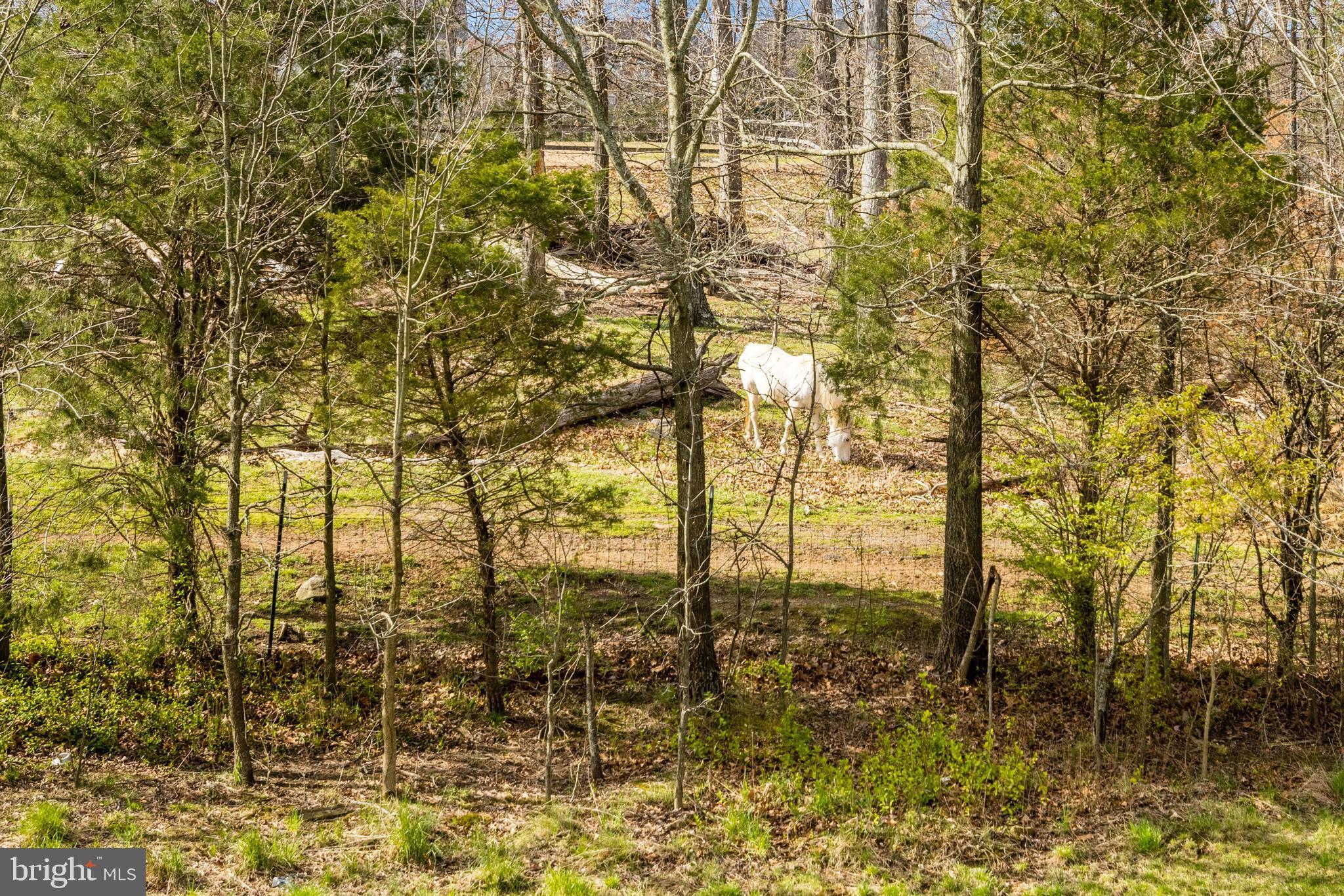 STONE RIDGE SOUTH - Residential Lease