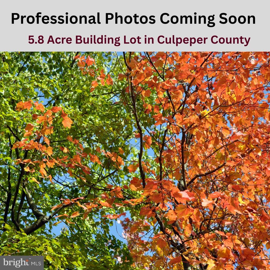 Discover your own private slice of Culpeper County! This 5.8-acre wooded building lot offers affordability, seclusion, and the freedom to build your starter home, forever home, or weekend retreat. With state road frontage, this property provides the peace and privacy you’ve been searching for.
The lot has already been surveyed and perked for a 3-bedroom conventional system, and if a buyer desires a 4-bedroom perk, it should not be a problem. With NO HOA and NO covenants, you’re free to design and build the home you want—any size or style. Bring your ATVs, enjoy hunting, or simply relax in the quiet of nature.
If you’ve been looking for seclusion without sacrificing convenience, this is an excellent opportunity to create your future home on a beautiful, unrestricted piece of land in Culpeper County.