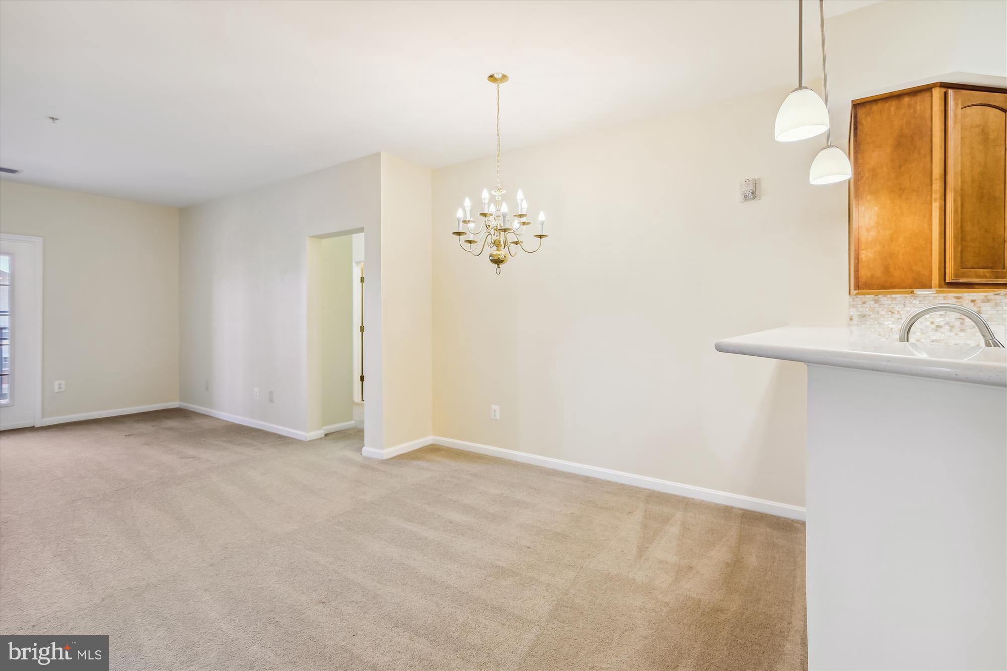 VILLAGE AT WAUGH CHAPEL - Residential