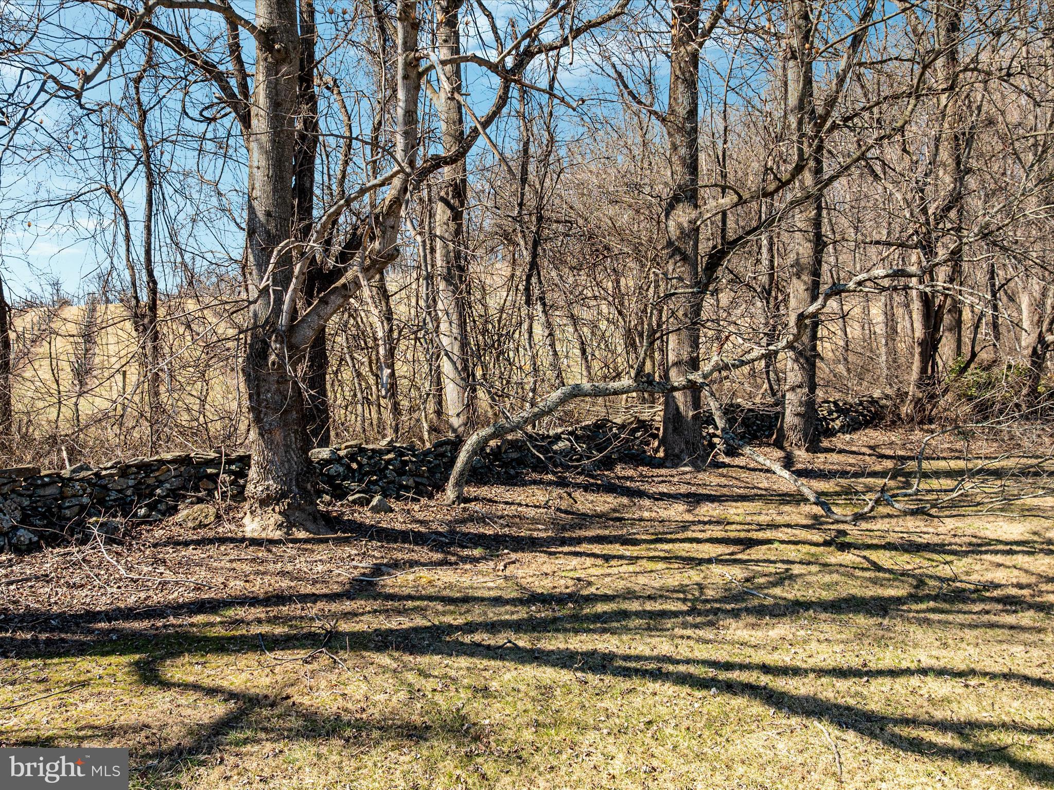 BIRCH HOLLOW HAMLET - Residential