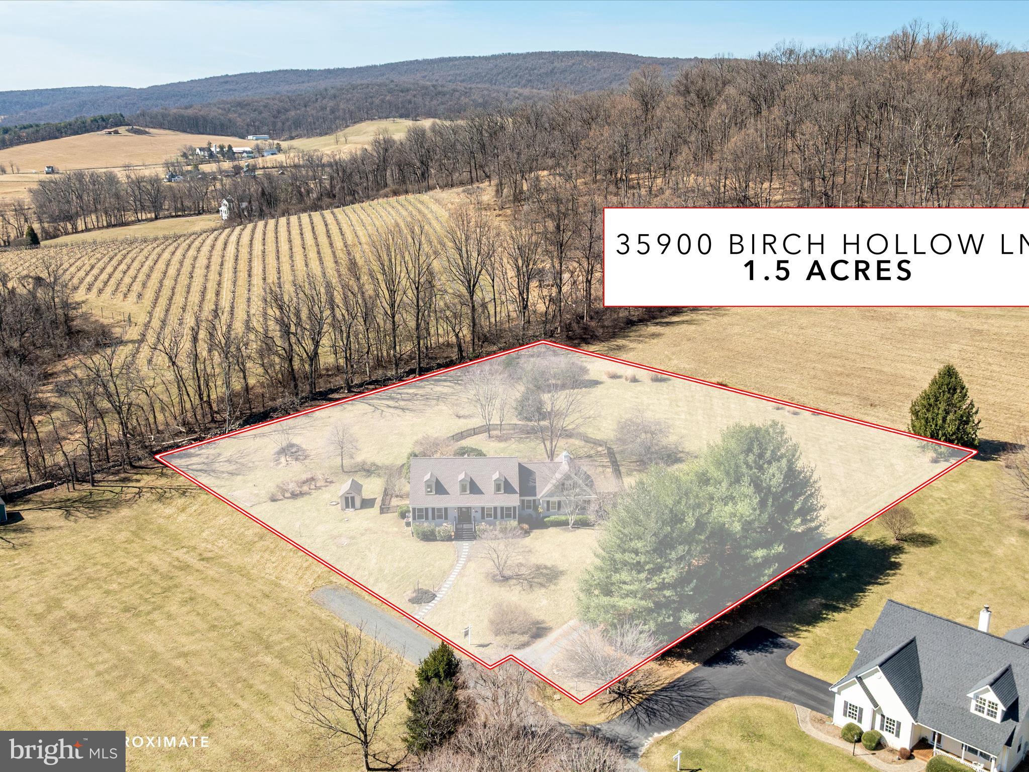 BIRCH HOLLOW HAMLET - Residential