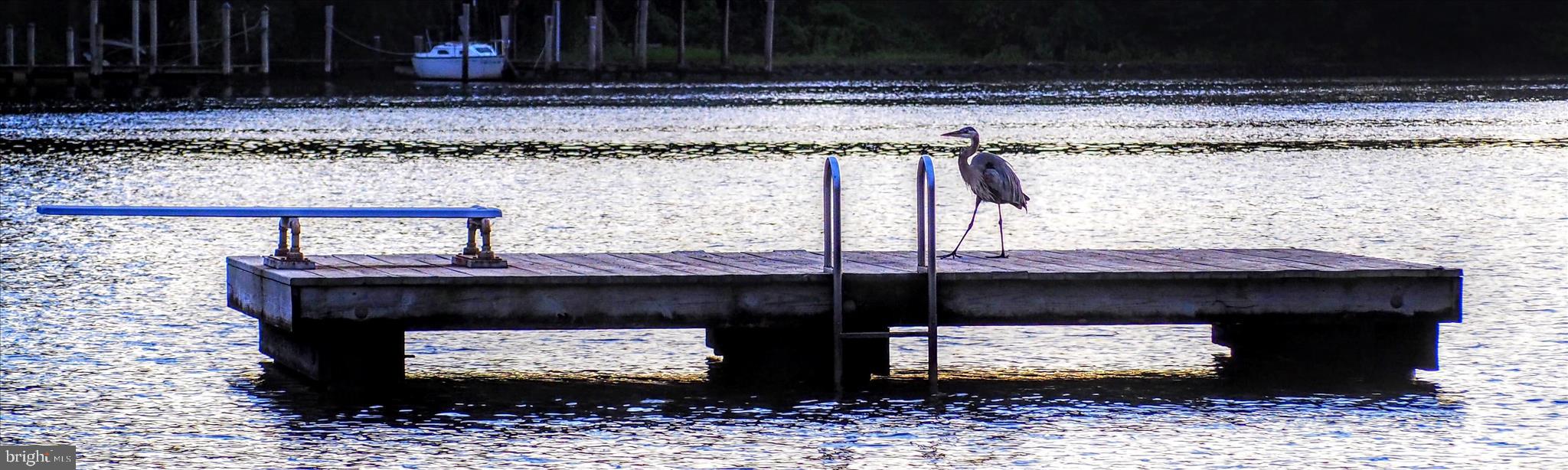 WHITNEYS LANDING - Residential