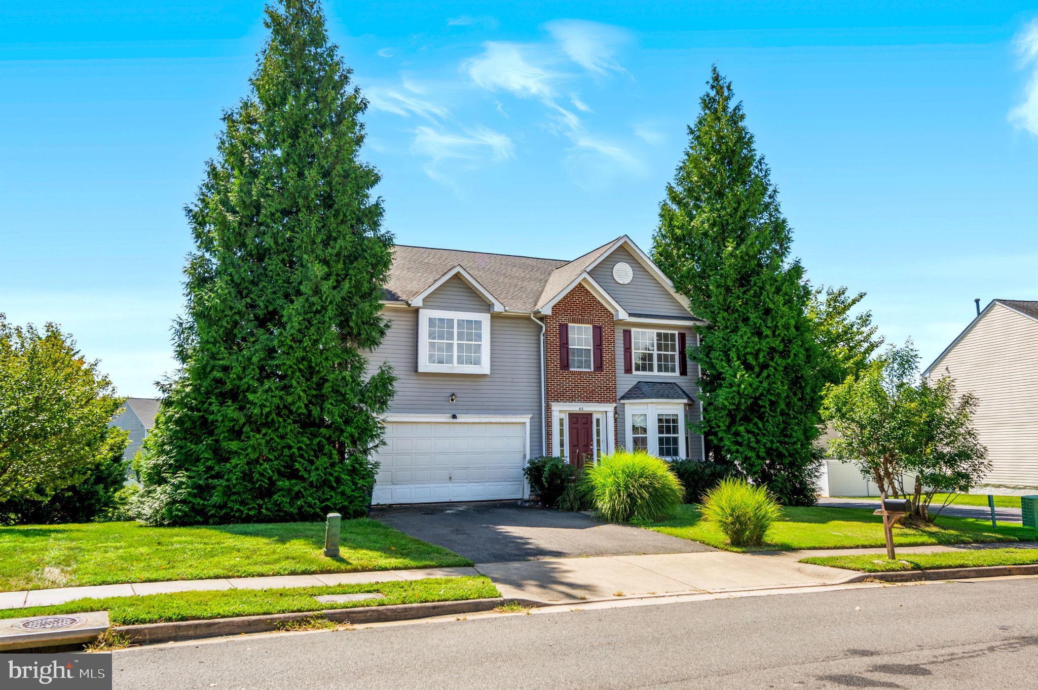 45 STANLEY LOOP