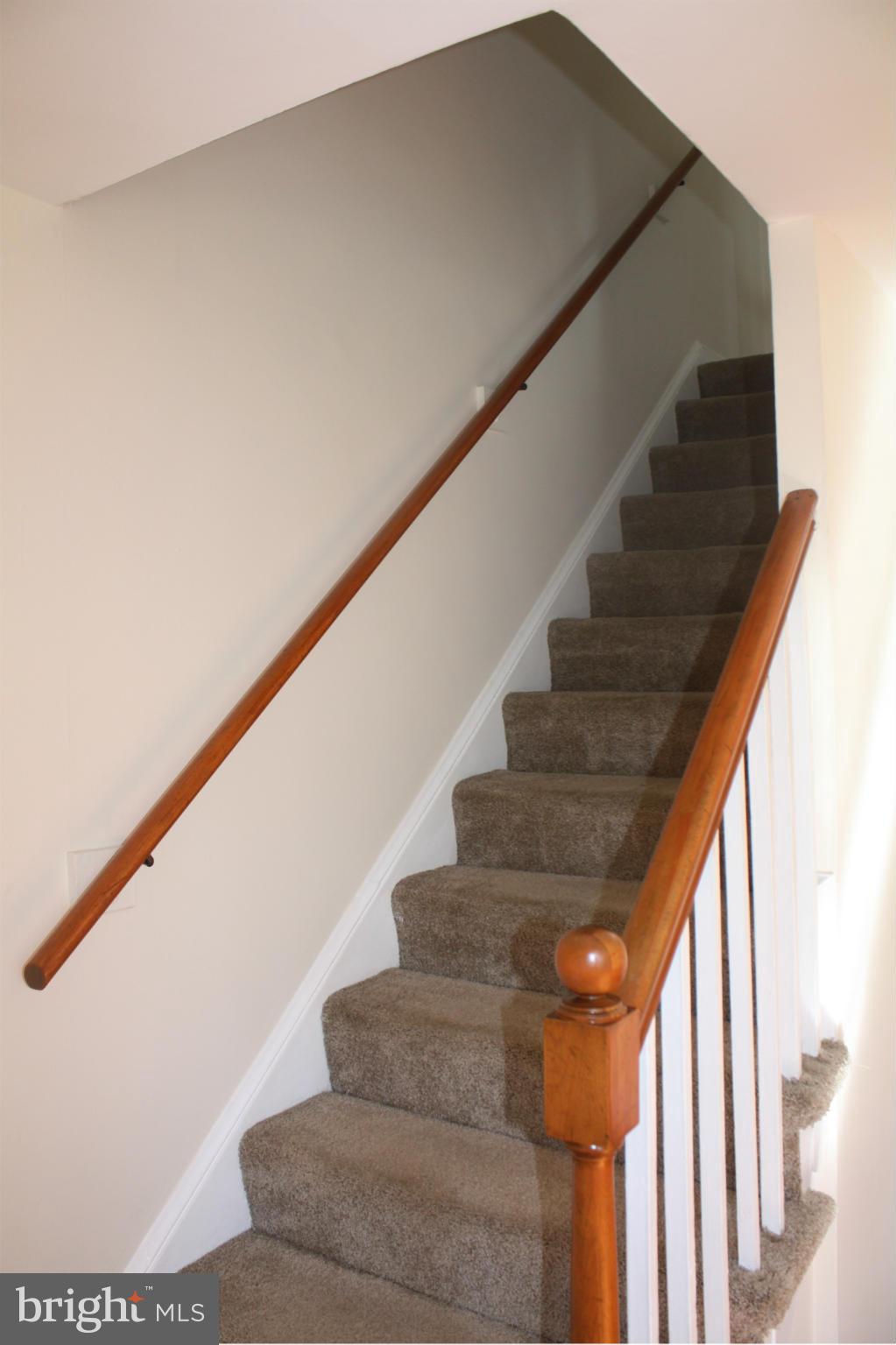 ST ELMO - Residential Lease