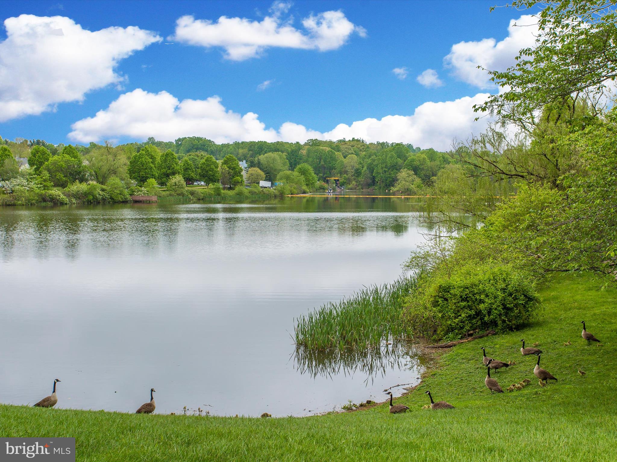 GUNNERS LAKE VILLAGE - Residential