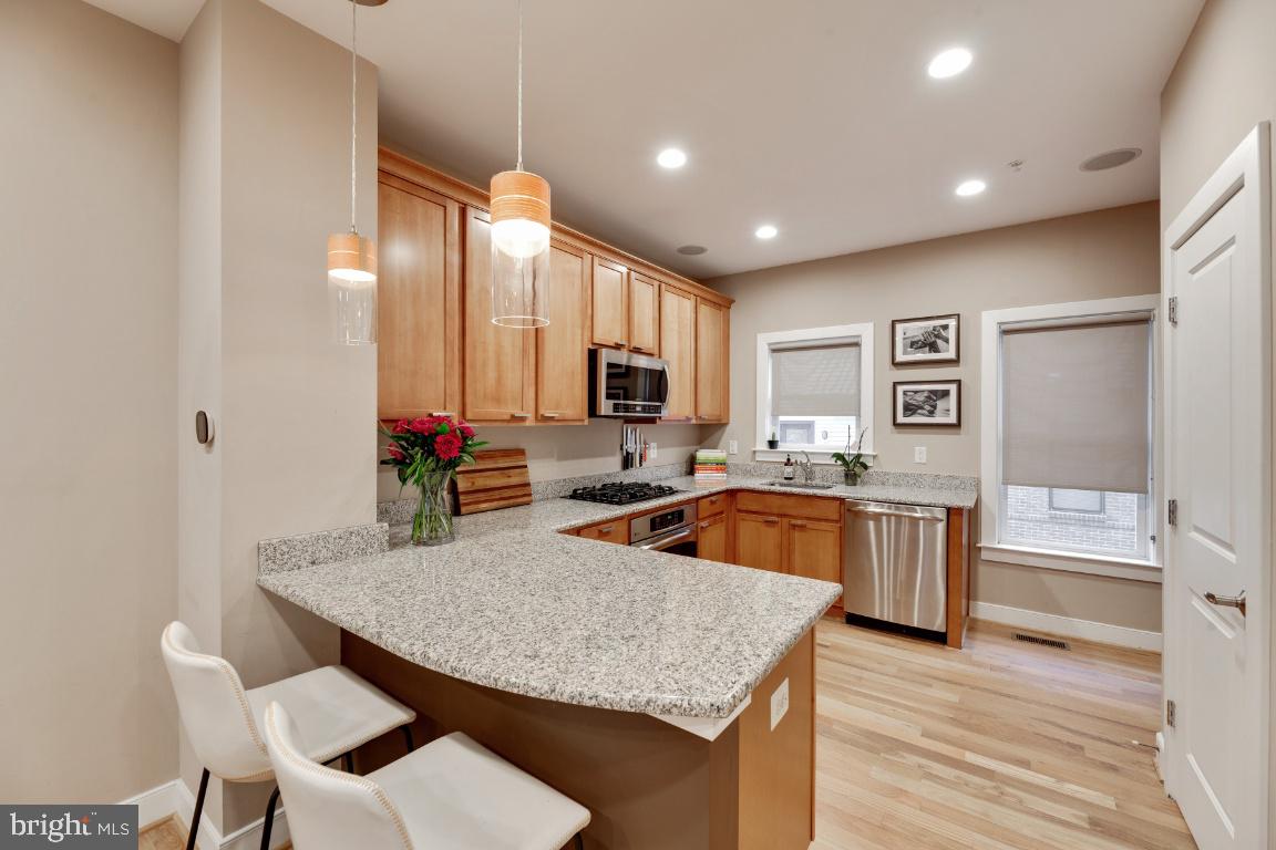 ARTS DISTRICT HYATTSVILLE - Residential