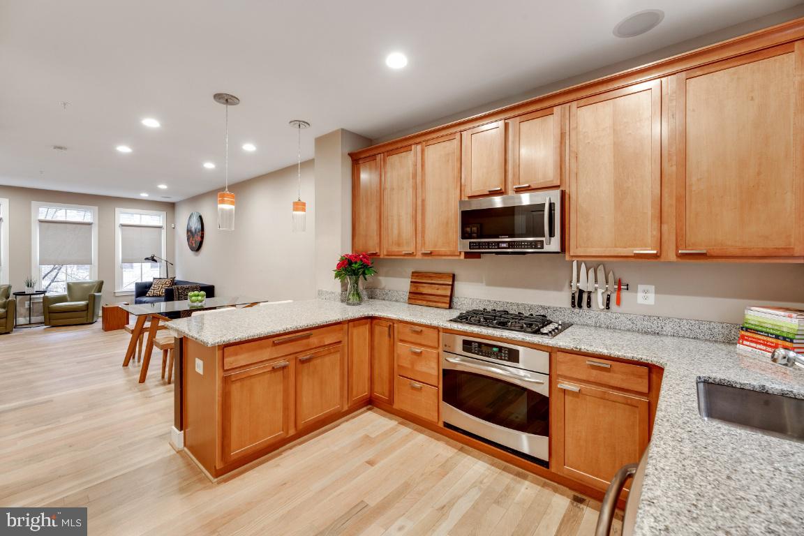 ARTS DISTRICT HYATTSVILLE - Residential