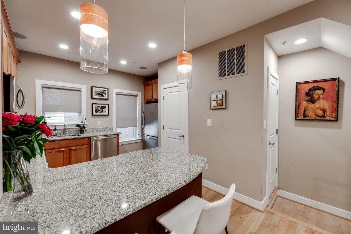 ARTS DISTRICT HYATTSVILLE - Residential