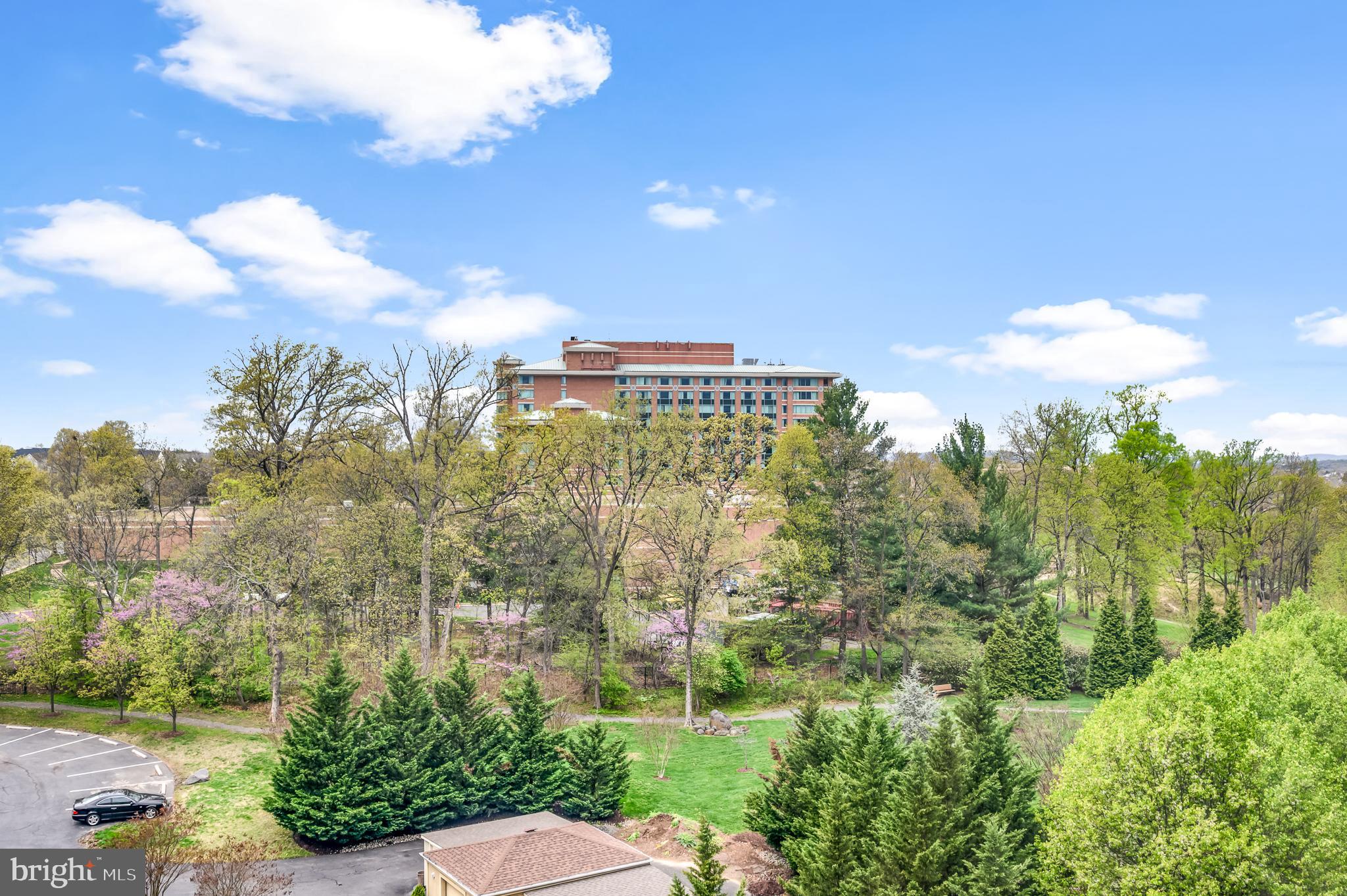 LANSDOWNE WOODS - Residential