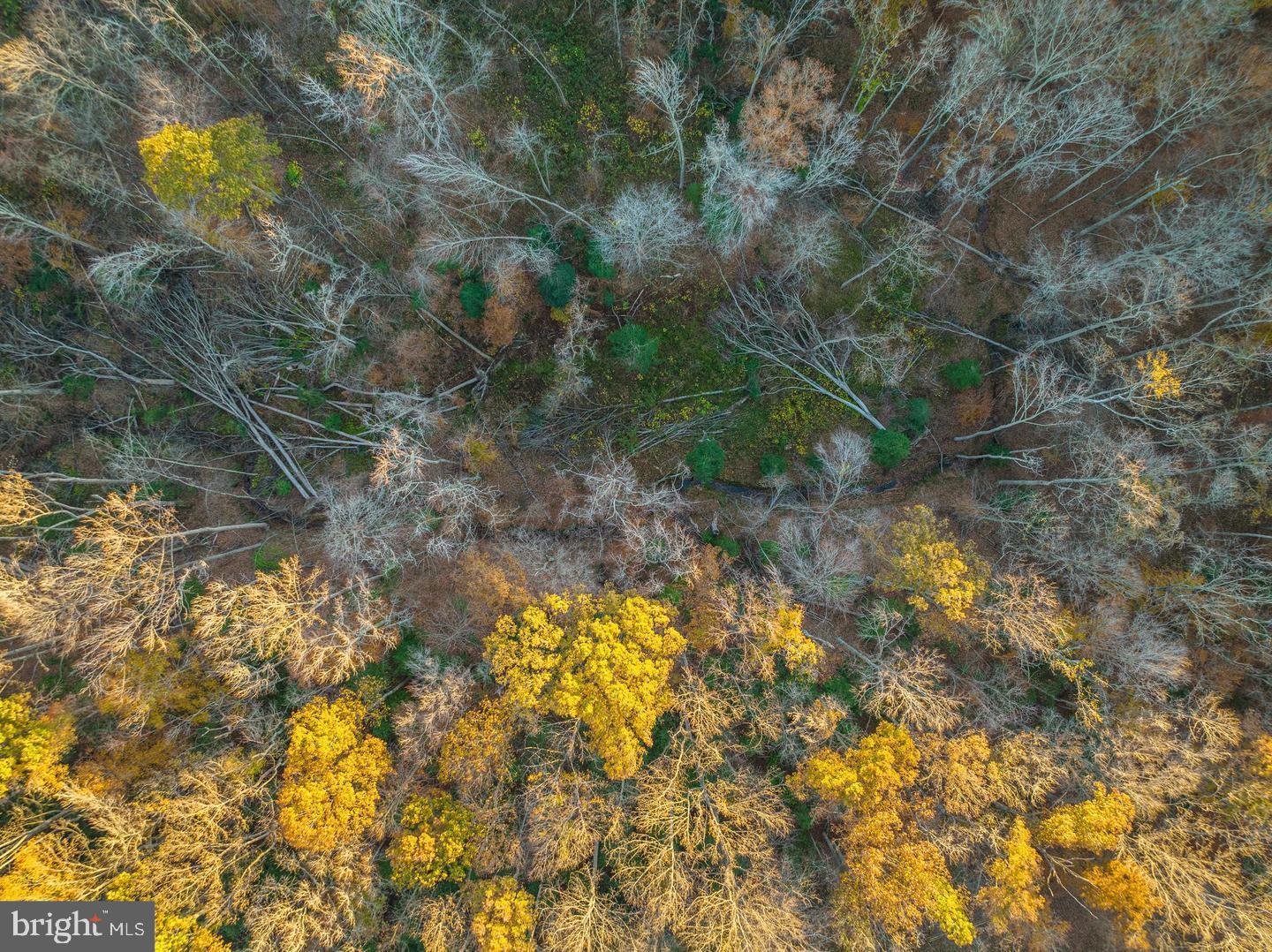 HOLLYBROOK FARM SUB - Residential