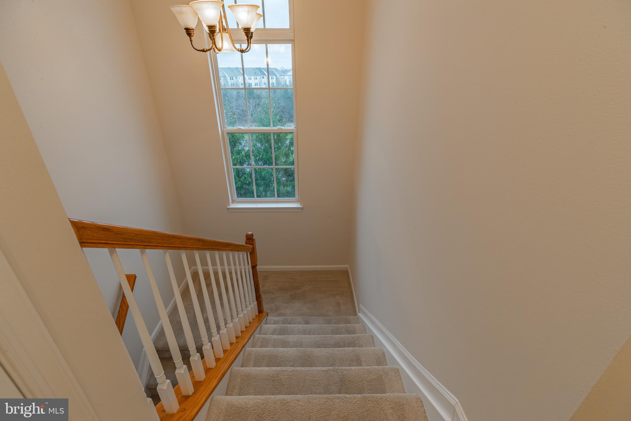 AMBER SPRING - Residential