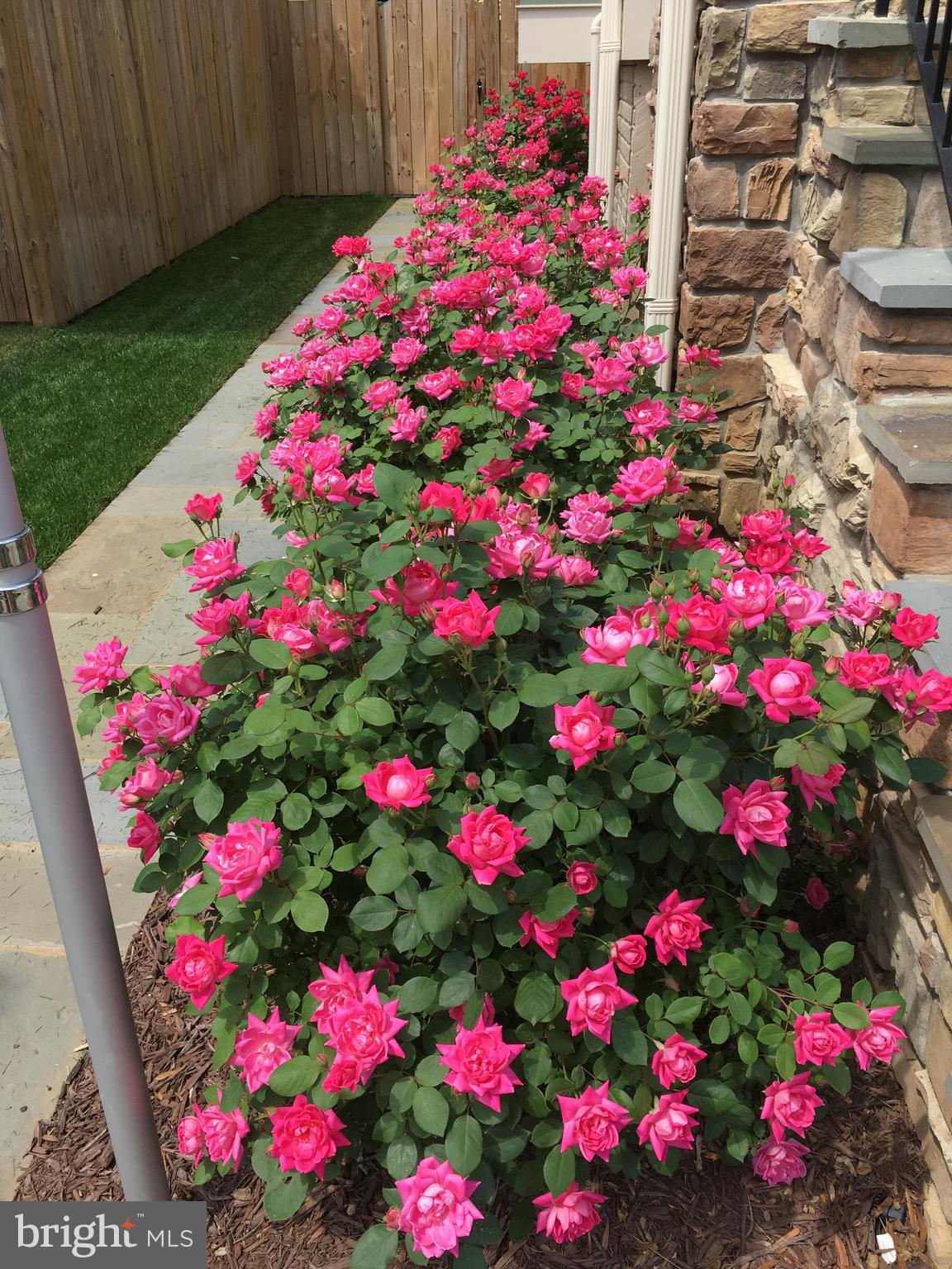 ADDISON HEIGHTS - Residential