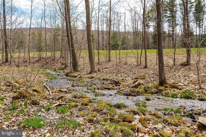 FANTASY VALLEY PH IX-A - Land