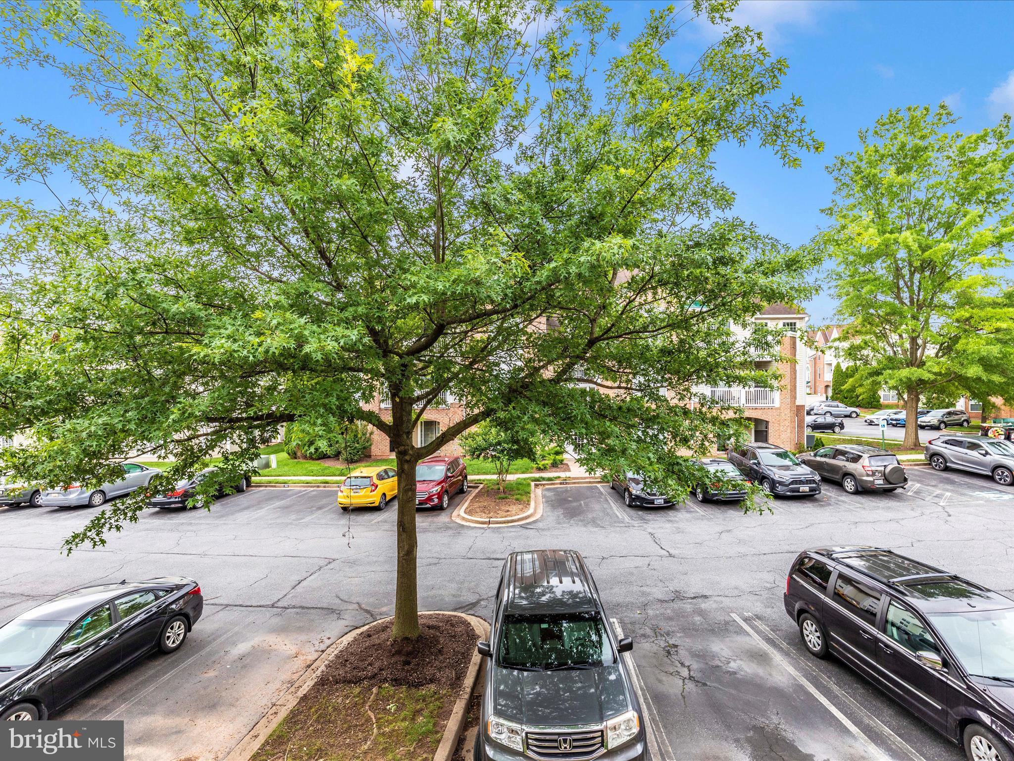 ECHO GLEN - Residential Lease